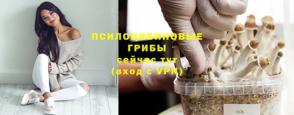 apvp Алзамай