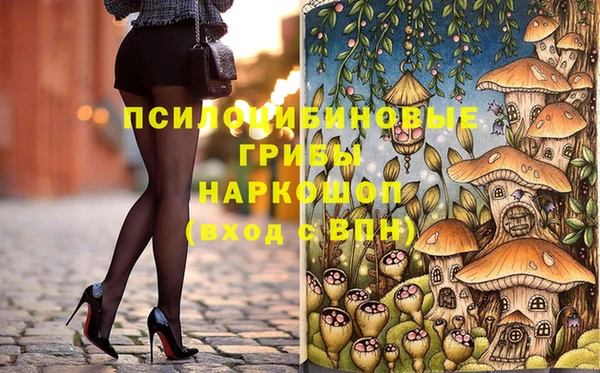соль ск Алексин