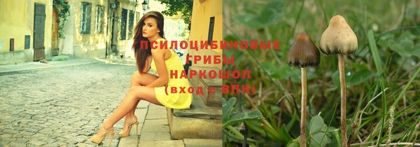 apvp Алзамай