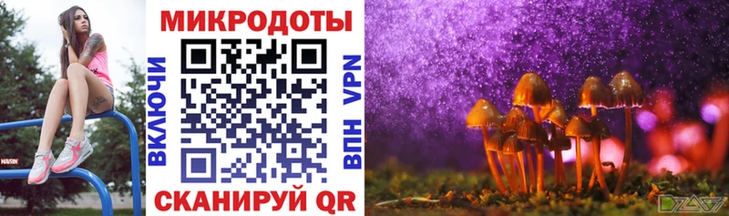 Купить  Ачхой-Мартан  Псилоцибиновые грибы прущие грибы 